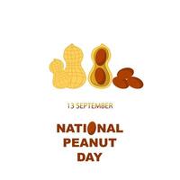 Tasty Peanut Set Isolated on White Background. Nut Seeds. vector