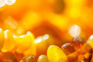 Bright colors amber, sunny light shining background, blurred the light of the bokeh shines photo