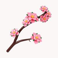 3d Sakura flowers .icon isolated on white background. 3d rendering illustration. Clipping path. photo