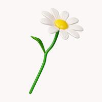 3d daisies flowers .icon isolated on white background. 3d rendering illustration. Clipping path. photo