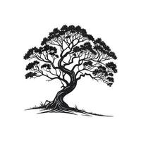 Creative simple Banyan Tree silhouette Style with white background template vector