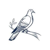 Creative Simple Dove bird silhouette with white background design template vector