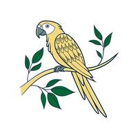 Colorful Parrot Bird silhouette Style with white background design vector