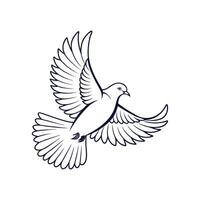 Creative Simple Dove bird silhouette Style with white background design vector
