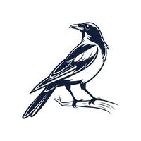 Creative Simple Bird silhouette Style with white background design vector