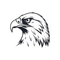 Creative Simple Hawk Face silhouette Style with white background design template vector