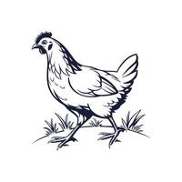 Simple Hen silhouette Style with white Background Template vector