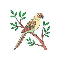 Colorful Parrot Bird silhouette with white background design template vector