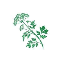 Creative Simple flower silhouette Style with white background design vector