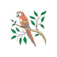 Colorful Parrot Bird silhouette Style with white background vector