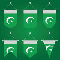 Pakistan Flag in Different Style Illustration Design on Green Gradients Backgound vector