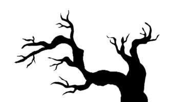 Dry Tree Branch Without Leaves. Black Silhouette Of Leafless Bonsai Isolated On White Background. Simple Tree Design Element. vector
