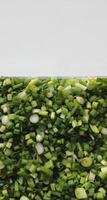 Front side of transparent container half filled with finely chopped onions and greens photo