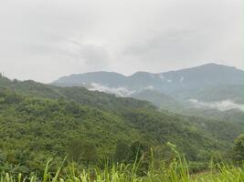 A view of a mountain range with a green photo