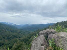 A view of the mountains and forest from a rocky hill photo