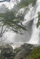 Beautiful waterfall in the rainforest photo