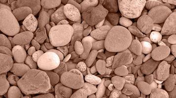 Background made of Sea or river pebbles. Natural texture of beach pebbles. Color Of The Year 2025 - Mocha Mousse photo