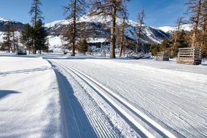 Nordic ski slope with alternating and free technique photo