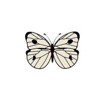 Cabbage butterfly flying also called Pieris brassicae family Pieridae. Large white moth with beautiful exotic wings, top view. Flat illustration beautiful insect isolated on white background. vector