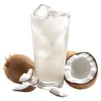 Coconut Drink on Transparent Background png