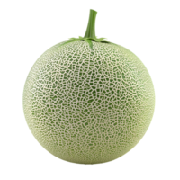 Melon Fruit Isolated on Transparent Background png