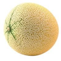 Melon Fruit Cutout Isolated on Transparent Background png