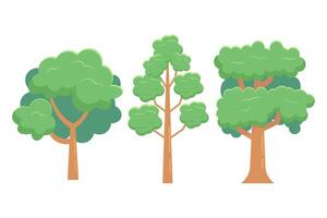 tree illustration collection design with types of tree variation vector