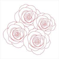 Hand drawn Rose flower outline coloring book page for children and adults vector