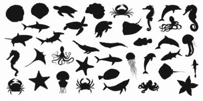 Collection of black set silhouettes of fish, seahorse, shells, octopuses, dolphins, sharks, whales, crabs and stingrays on a white background. vector
