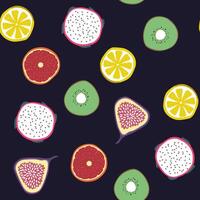 Sliced Citrus Fruits Array vector