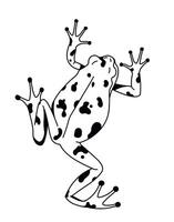 Leaping Spotted Frog Dynamic Pose vector