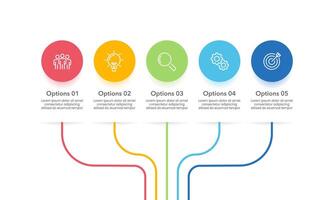 Colorful lines and circles infographic options or steps to success. Presentation, Data, Organization, Banner and Structure. vector