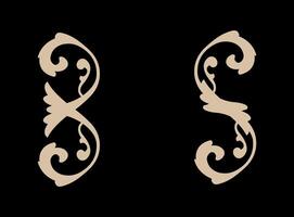 2 Ornaments collection in vintage style on black background vector
