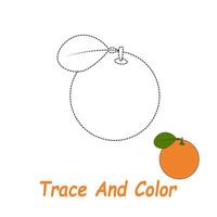 Orange fruit objects to trace and color for children's picture books vector