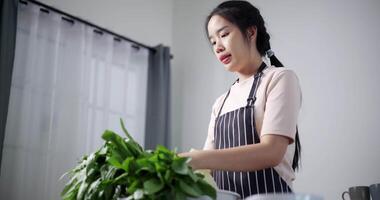 Handheld low angle view shot, Happy young woman preparing vegetables on the table to make sukiyaki or shabu hot pot at home. Food preparation video