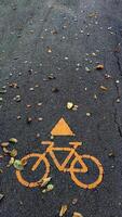 Bicycle symbol on pavement surrounded by autumn leaves, urban environment. photo