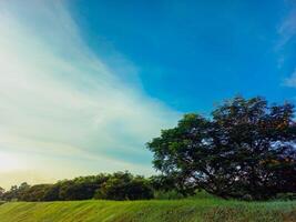 A minimalist scene of a morning grassy hill with blue sky photo