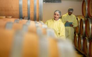 Mature female and male researchers and developers working in winery, Testing wine that has been fermented for a while. photo