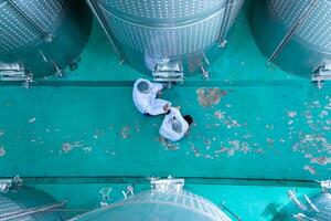 Mature female and male researchers and developers working in winery, Testing wine that has been fermented for a while. photo