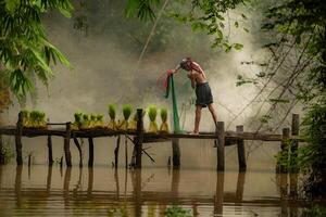 Fisherman atop the bridge netting fish in the river with a fishnet photo