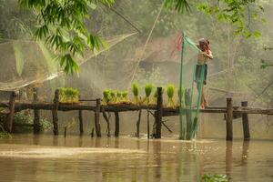 Fisherman atop the bridge netting fish in the river with a fishnet photo