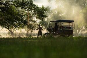 Local fisherman prepare a fishnet under the tree to capture fish in the lake photo