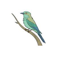 Parrot icon silhouette vectors style with white background