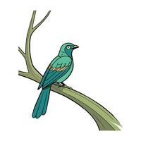 Parrot icon silhouette vectors style with white background
