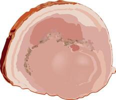 Roasted pork belly showing succulent layers of meat and fat vector
