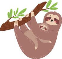Cartoon illustration of mother sloth hanging upside down on a tree branch with her baby sloth clinging to her, showcasing the loving bond between parent and child in the wild vector