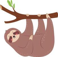 Adorable cartoon sloth hanging upside down from a tree branch, enjoying a peaceful life in the rainforest, ideal for children's books and charming wildlife projects vector