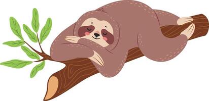 Charming illustration presents a relaxed sloth sleeping on a tree branch, embracing the tranquility of its natural habitat, with lush green leaves adding a touch of vibrancy to the scene vector