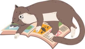 Adorable brown and white cat sleeping on top of an open book, resting after a long reading session, colorful illustrations visible on book pages vector