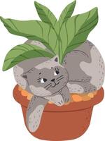 Charming grey cat nestled in a terracotta pot, playfully interacting with vibrant green leaves, capturing a scene of feline contentment and domestic tranquility vector